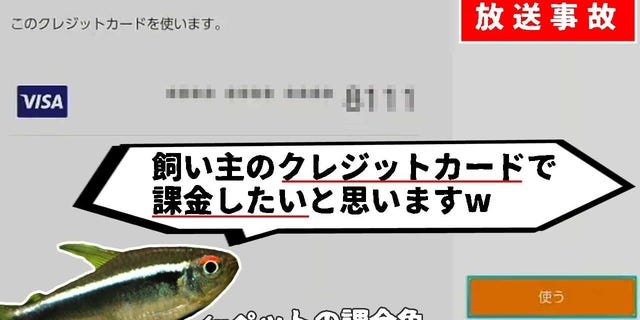 A Japanese YouTube gaming channel claims its motion-detected pet fish made custom settings and made purchases on a Nintendo Switch during a recent promotion "Fish Play Pokémon" live stream.