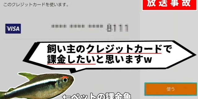 Gaming YouTuber in Japan statements pet fish took over Nintendo Change, went on looking spree Gaming YouTuber in Japan statements pet fish took over Nintendo Change, went on looking spree