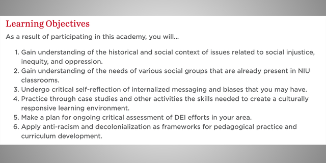 A screenshot of the learning objectives for the The Faculty Academy for Cultural Competence and Equity (FACCE) at Northern Illinois University. 