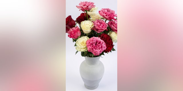 Consider gifting your Valentine this assortment of roses from Pomp Flowers.