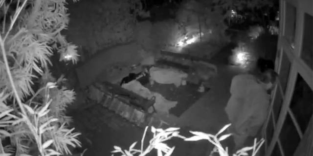 Black and white security footage of a man in a backyard.
