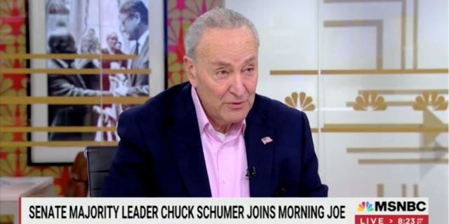 Chuck Schumer warns Trump's power is 'declining' but adds he 'wouldn't ...