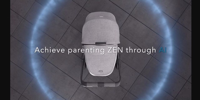 The Ella stroller seat is adaptable.