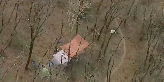 Protesters have set up tents and other accommodations in the woods. 