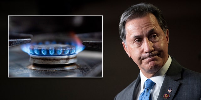 A split photo of a gas stove and Rep. Gary Palmer, R-Ala., at a news conference in Washington on Tuesday, November 17, 2020.