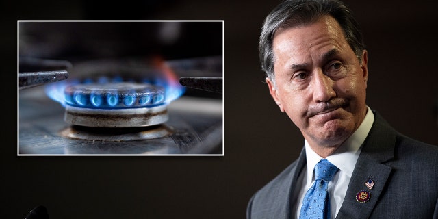 A split photo of a gas stove and Rep. Gary Palmer, R-Ala., at a news conference in Washington on Tuesday, Nov. 17, 2020.