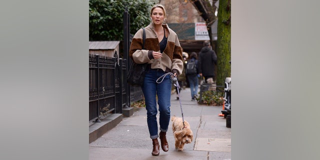 Amy Robach was seen with her dog before meeting Andrew Shue.
