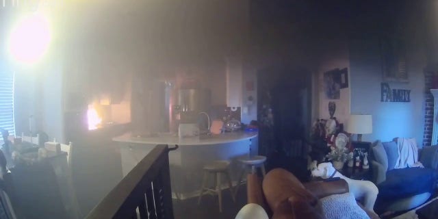 A woman in Texas says that her dog accidentally started a kitchen fire on Christmas Day after jumping to grab a bite of cookies.