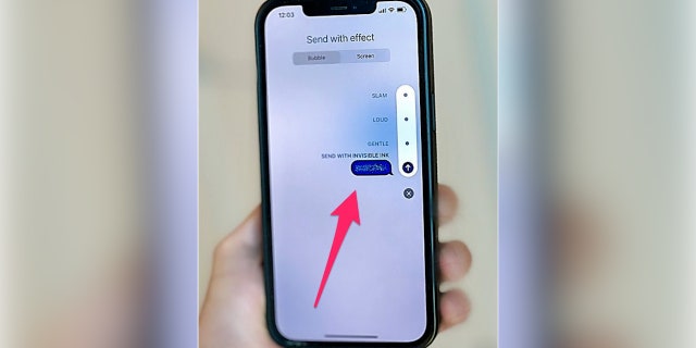 Invisible Ink lets iPhone users send an iMessage with the text scribbled out on the screen.