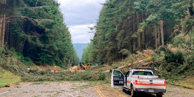 In this photo provided by Caltrans District 1, crews work at removing multiple fallen trees blocking U.S. Highway 101 in Humboldt County near Trinidad, Calif., Wednesday, Jan. 4, 2023.