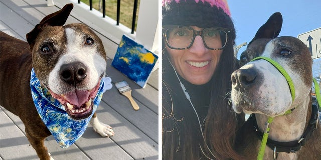 Van Gogh the dog has found a new "career" — and a happy new home with Jessica Starowitz. 