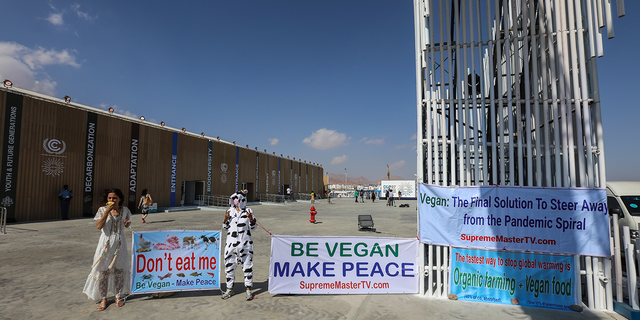 A group of vegan activists demonstrate in front of the International Conference Center during the United Nations COP27 Climate Summit in Sharm El-Sheikh, Egypt on November 7, 2022 (Photo by Mohamed Abdel Hamid/Anadolu Agency via Getty Images)