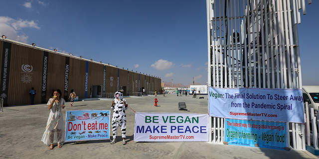 A group of vegan activists demonstrate in front of the International Convention Center during the UN climate change summit COP27 to be held in Sharm el-Sheikh, Egypt on November 7, 2022.  (Photo by Mohamed Abdel Hamid/Anadolu Agency via Getty Images)