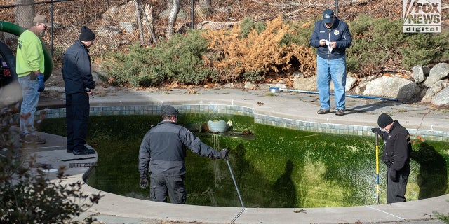 Les équipes vident la piscine de la maison d'Ana Walshe.