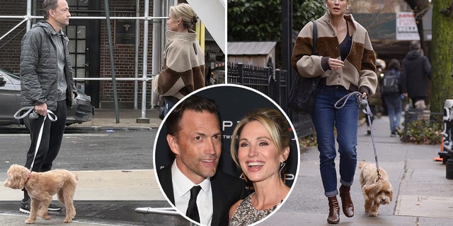 Estranged spouses Amy Robach and Andrew Shue met up in New York City to hand-over their dog.