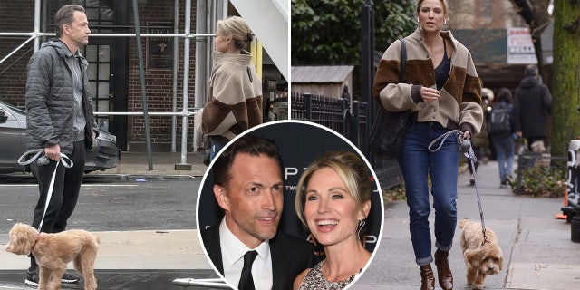 Estranged spouses Amy Robach and Andrew Shue met up in New York City to hand-over their dog.