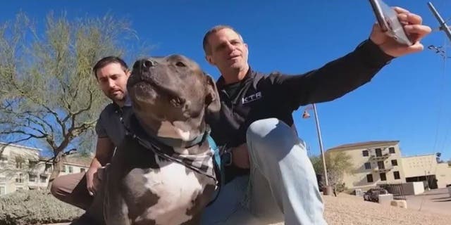 A man was saved by a passerby after falling into an Arizona canal with his dog.