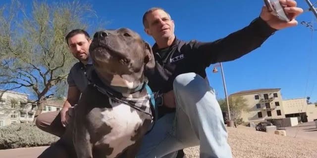 A man was saved by a passerby after falling into an Arizona canal with his dog.