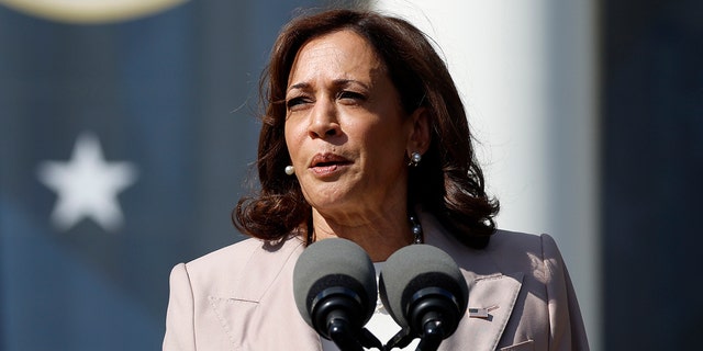 Kamala Harris Reveals Biden's 2023 Priorities Includes Inflation, Job ...