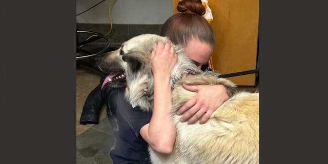 A dog named Lilo was reunited with her owner who was forced to give her up due to homelessness.