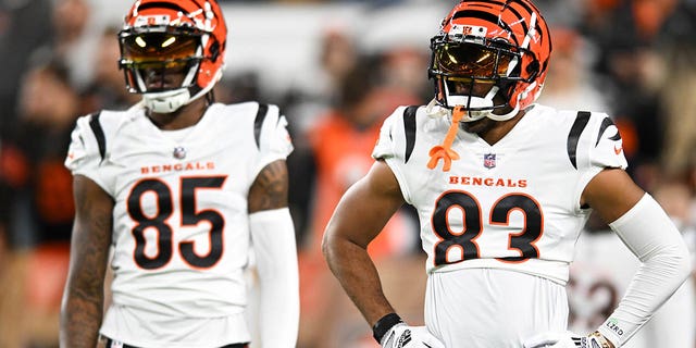 Tyler Boyd #83 and Tee Higgins #85 of the Cincinnati Bengals look on prior to a game against the Cleveland Browns at FirstEnergy Stadium on Oct. 31, 2022, in Cleveland.