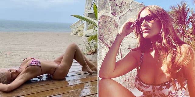 Donna D'Errico, Sofía Vergara and more celebrities heat up winter in sizzling bikinis - Fox News