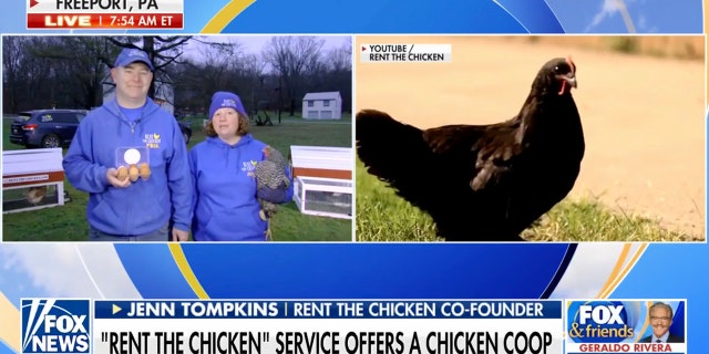 With egg prices rising, Rent the Chicken is offering to deliver a chicken coop to your backyard — without the stress of owning a permanent coop. 