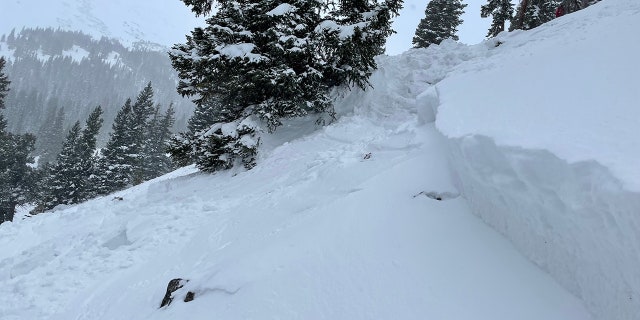 The elder Feinstein dug himself out of the snow and skied 40 minutes to an area where he could get cell phone service to call for help.