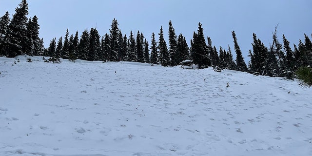 The avalanche happened near Peak 10 in a backcountry area known as the Numbers located outside the Breckenridge Ski Resort southwest of Breckenridge