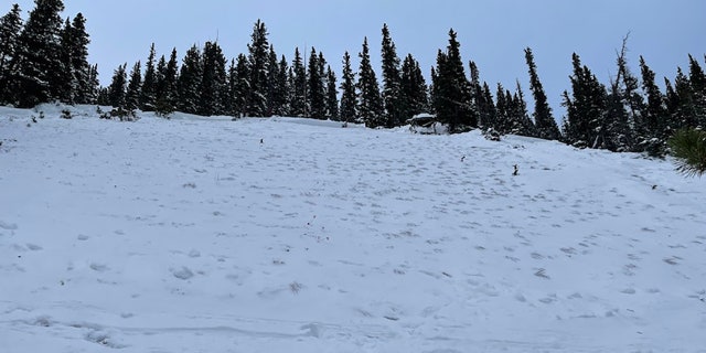 The avalanche happened near Peak 10 in a backcountry area known as the Numbers located outside the Breckenridge Ski Resort southwest of Breckenridge