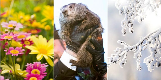 Groundhog Day quiz! How well do you know facts about the annual day?
