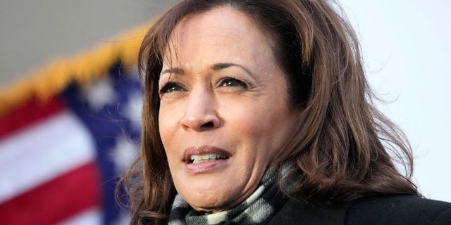 Kamala Harris Dodged Interviews For A Year After 'disastrous' Border ...