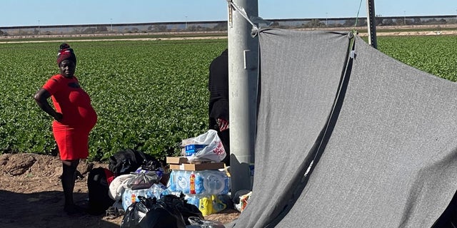 Migrants walk through farmland after passing through the unsecured U.S.-Mexico border. 