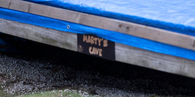 The Dashukewich siblings have named the bear Marty.