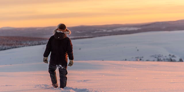 A deposit estimated to have over a million tons of rare earth materials was discovered near Kiruna, Sweden. Reindeer herder Niila Inga walks across the snow as the sun sets near Kiruna, Sweden, on Nov. 27, 2019.