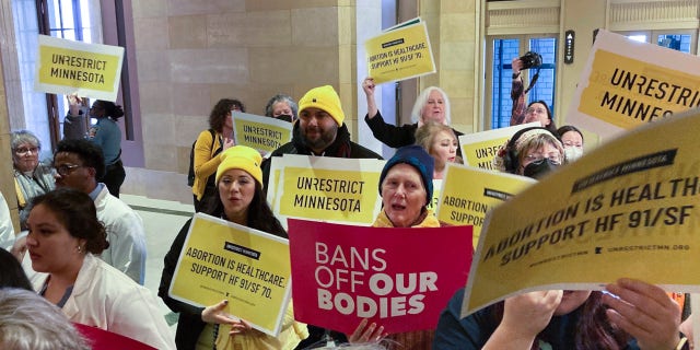 The Minnesota Senate passed a bill Saturday to write broad protections for abortion rights into state statutes, which would make it difficult for future courts to roll back.