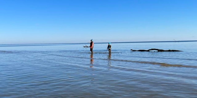 Molly Sampson started fossil hunting with her father, Bruce Sampson, when she was very young — and hopes one day to become a paleontologist.