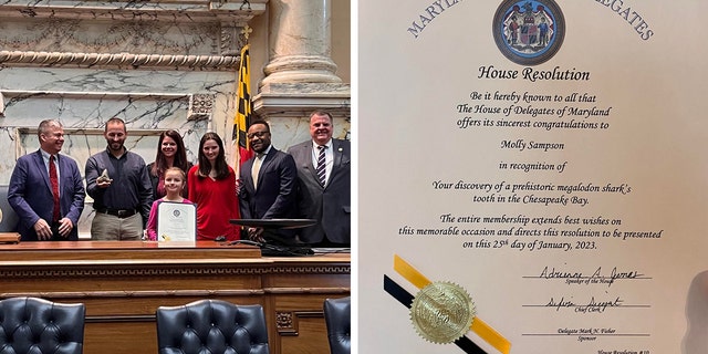 On Jan. 25, Molly Sampson was brought onto the Maryland House floor during a session and honored for her discovery of a prehistoric tooth. 