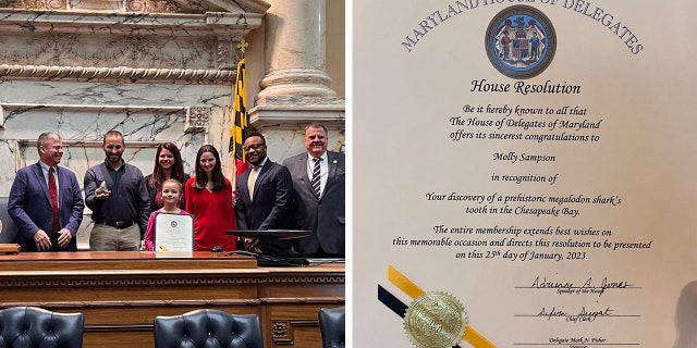 On Jan. 25, Molly Sampson was brought onto the Maryland House floor during a session and honored for her discovery of a prehistoric tooth.