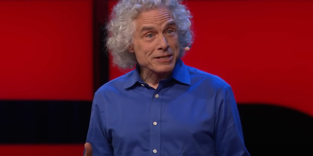 Academic Steven Pinker speaking at a Ted Talk.