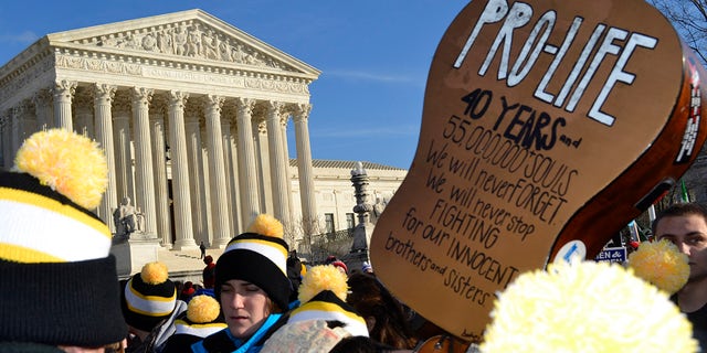 Washington D.C., USA - January 22, 2015; A guitar is held high at the U.S. Supreme Court with a Pro-Life message on the annual March For Life Rally in Washington D.C.