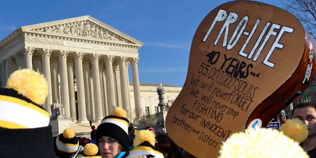 A guitar with a pro-life message is held high at the annual March for Life Rally in Washington, D.C., on Jan. 22, 2015.