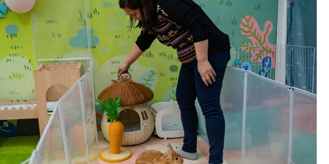 A staff member cleans the play area at the Bunny Style hotel in Hong Kong, on Wednesday, Jan. 18, 2023.