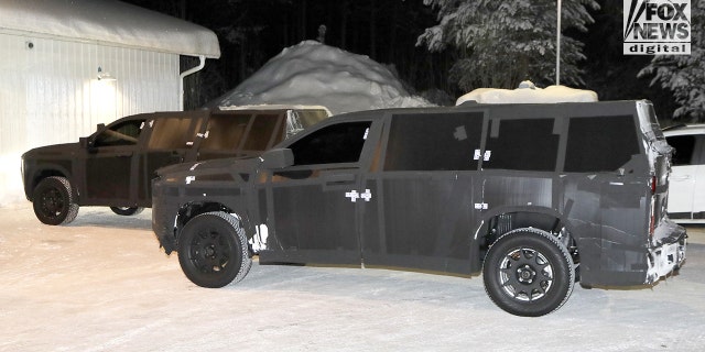 rams-camo-rear-bug.jpg