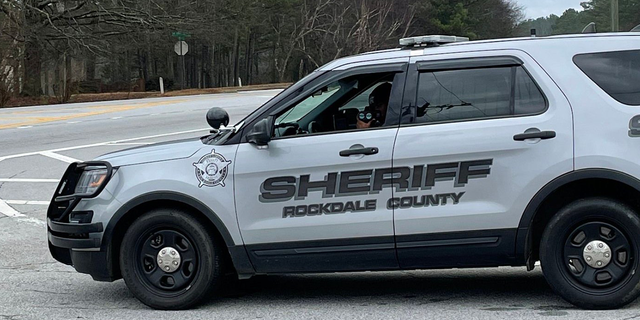 A Georgia sheriff's deputy was indicted by a grand jury for animal cruelty after he allegedly caused three dogs in his care to die.