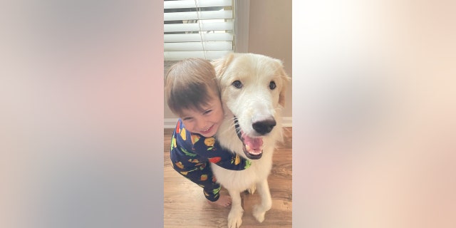 "I wasn't intimidated at all by the energetic puppy behavior! I live with two boys aged 7 and 4 so I'm used to chaos and craziness," Davis told Fox News Digital.