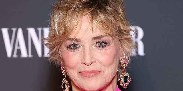 Sharon Stone has had plastic surgeries in the past to try and conceal the scar on her neck.