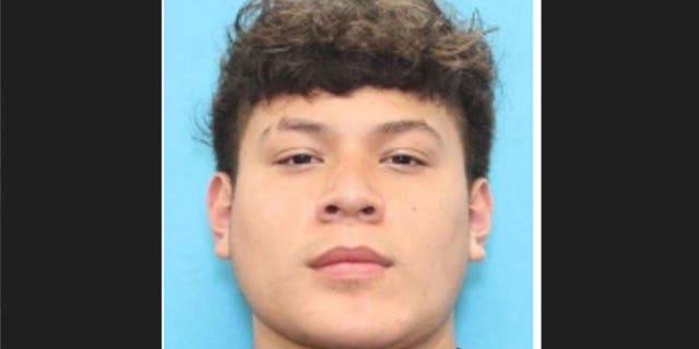Dallas family says father of 3 killed over New Year's gunshot ...