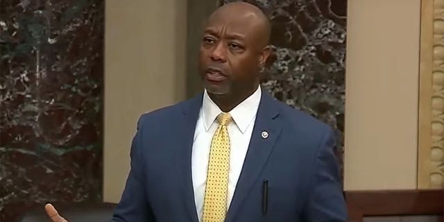 Tim Scott on Senate floor
