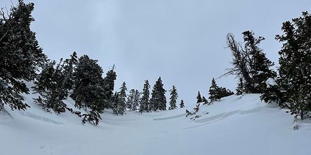 Utah snowboarder caught in avalanche records video of harrowing 300-foot  descent | Fox News